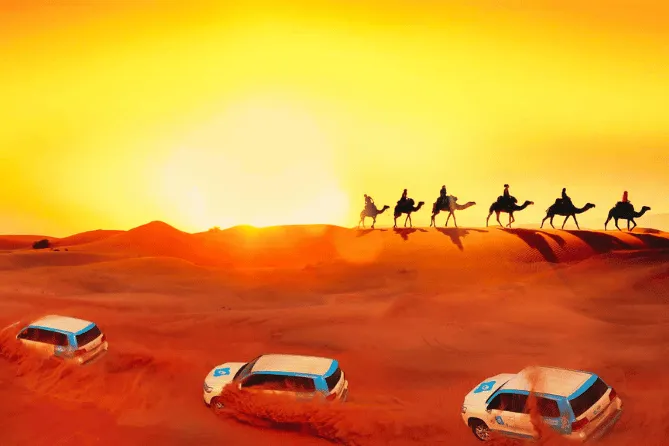 Al marmoon (1)